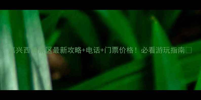 图片 嘉兴西塘景区最新攻略+电话+门票价格！必看游玩指南🌸