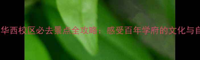 图片 四川大学华西校区必去景点全攻略：感受百年学府的文化与自然交融1