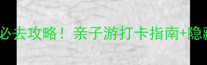 大丰海底世界必去攻略亲子游打卡指南隐藏玩法全公开
