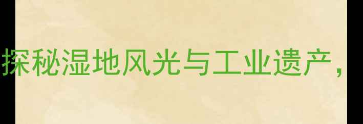 大庆市周边游必去景点TOP10探秘湿地风光与工业遗产解锁自然与人文双重体验攻略