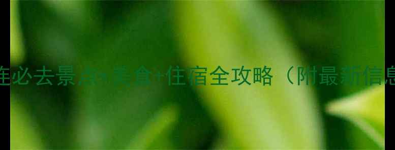 大连必去景点美食住宿全攻略附最新信息