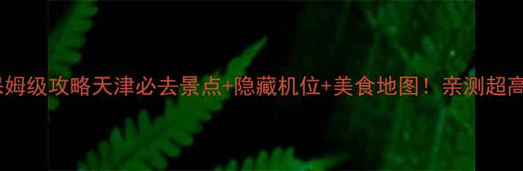 图片 天津一日游保姆级攻略天津必去景点+隐藏机位+美食地图！亲测超高效打卡路线2