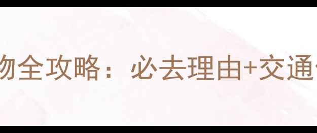 奥兰多奥特莱斯购物全攻略必去理由交通住宿隐藏优惠指南