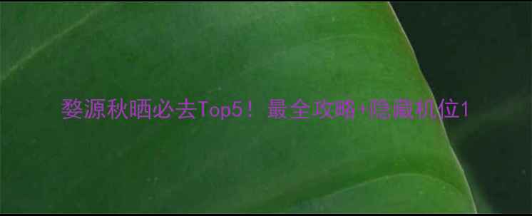 图片 婺源秋晒必去Top5！最全攻略+隐藏机位1