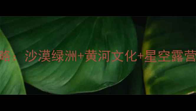 图片 宁夏必去景点全攻略：沙漠绿洲+黄河文化+星空露营TOP20深度游指南1
