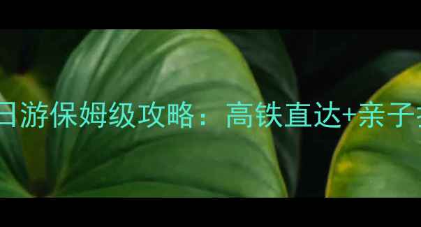 宜兴必去景点一日游保姆级攻略高铁直达亲子打卡美食地图全