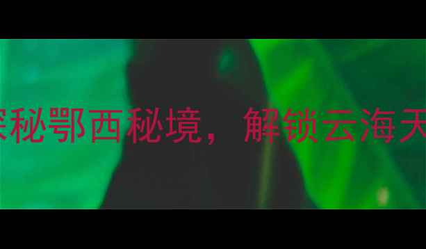 图片 宜昌大老岭必去景点指南探秘鄂西秘境，解锁云海天坑与高山草甸的避暑胜地2