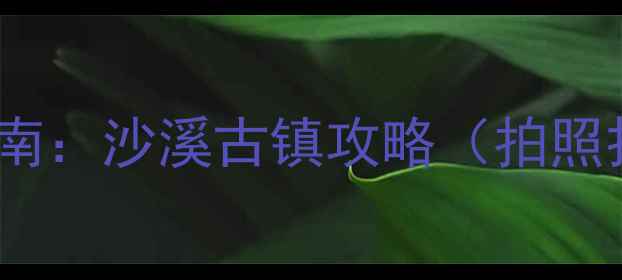 图片 小众旅行地避暑指南：沙溪古镇攻略（拍照打卡+美食+避坑）2