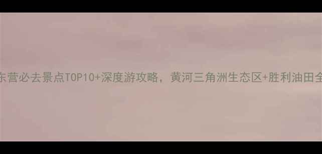 图片 山东东营必去景点TOP10+深度游攻略，黄河三角洲生态区+胜利油田全攻略