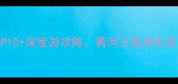 山东东营必去景点TOP10深度游攻略黄河三角洲生态区胜利油田全攻略