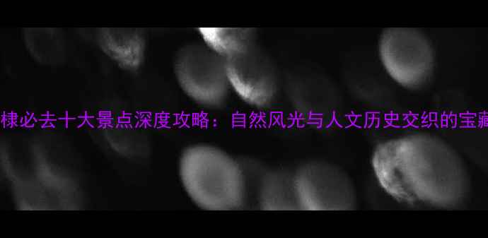 图片 山东无棣必去十大景点深度攻略：自然风光与人文历史交织的宝藏之旅2