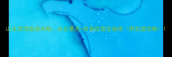 山东滨海旅游攻略必去景点美食住宿全指南附交通攻略