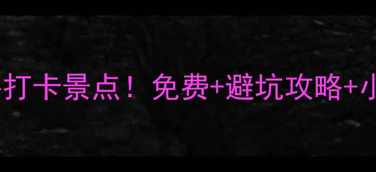 岘港市区十大必打卡景点免费避坑攻略小众玩法全攻略