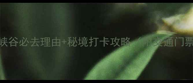 图片 巫溪兰英大峡谷必去理由+秘境打卡攻略（附交通门票最佳路线）