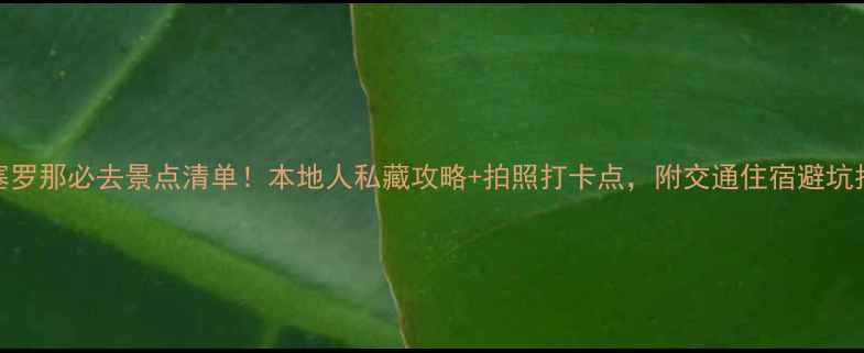 图片 巴塞罗那必去景点清单！本地人私藏攻略+拍照打卡点，附交通住宿避坑指南