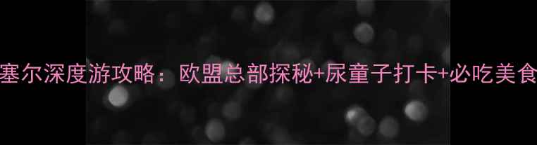 布鲁塞尔深度游攻略欧盟总部探秘尿童子打卡必吃美食地图