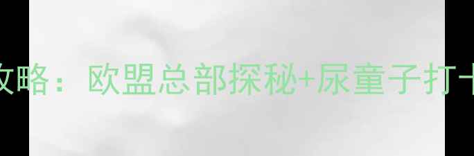 图片 布鲁塞尔深度游攻略：欧盟总部探秘+尿童子打卡+必吃美食地图1