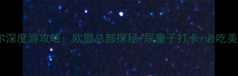 图片 布鲁塞尔深度游攻略：欧盟总部探秘+尿童子打卡+必吃美食地图2