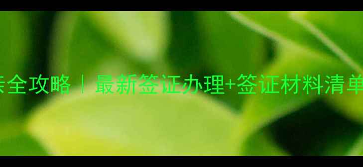 带父母赴美探亲全攻略最新签证办理签证材料清单拒签避坑指南