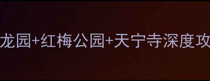 常州必去景点TOP10恐龙园红梅公园天宁寺深度攻略解锁江南小城独特