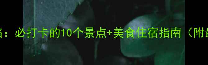 常德旅游全攻略必打卡的10个景点美食住宿指南附最新交通信息