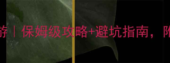 广西巴马3天2夜深度游保姆级攻略避坑指南附免费地图交通攻略