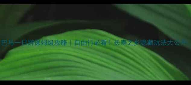 图片 广西巴马一日游保姆级攻略｜自由行必看！长寿之乡隐藏玩法大公开🏞️2