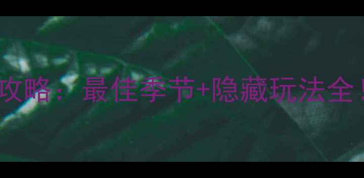 图片 张北坝上草原必去攻略：最佳季节+隐藏玩法全！附最新玩法指南2