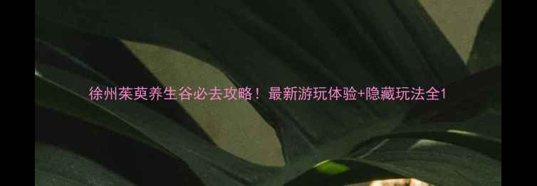 图片 徐州茱萸养生谷必去攻略！最新游玩体验+隐藏玩法全1