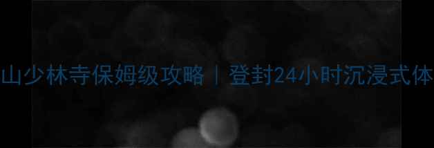 图片 必去！嵩山少林寺保姆级攻略｜登封24小时沉浸式体验全公开