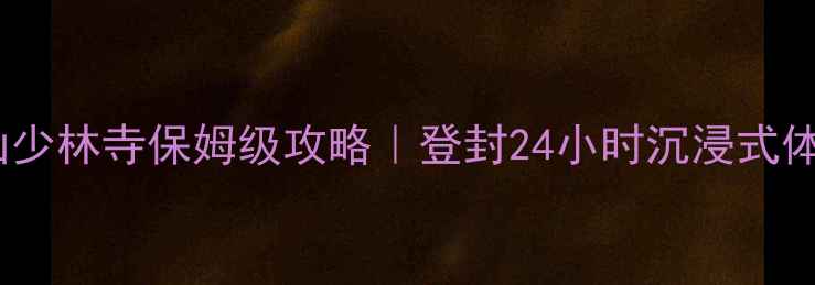 图片 必去！嵩山少林寺保姆级攻略｜登封24小时沉浸式体验全公开1