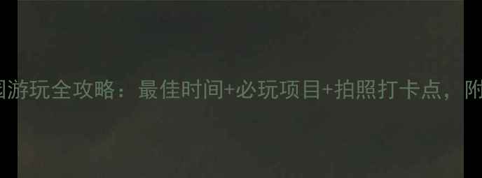忻城薰衣草庄园游玩全攻略最佳时间必玩项目拍照打卡点附交通住宿攻略