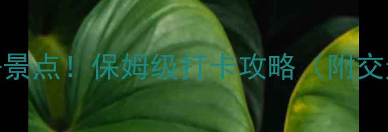 图片 怀化市区红色旅游必去景点！保姆级打卡攻略（附交通攻略+拍照技巧）📸2