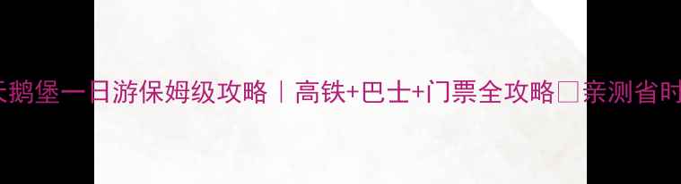 慕尼黑到新天鹅堡一日游保姆级攻略高铁巴士门票全攻略亲测省时省力不踩雷
