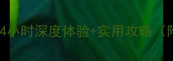 图片 成田机场T1过夜必看指南：24小时深度体验+实用攻略（附免费WiFi餐饮交通全攻略）