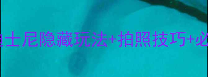 打工人周末必看迪士尼隐藏玩法拍照技巧必玩项目全攻略