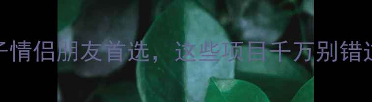 扬州游乐园必玩攻略亲子情侣朋友首选这些项目千万别错过附避坑指南交通攻略