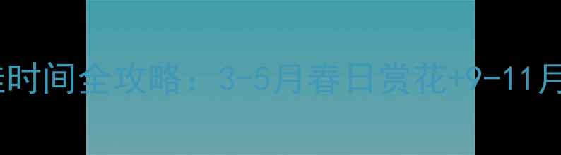 图片 捷克旅游最佳时间全攻略：3-5月春日赏花+9-11月圣诞集市全2