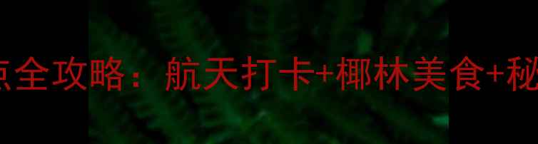 图片 文昌必去十大景点全攻略：航天打卡+椰林美食+秘境海滩一次玩透2