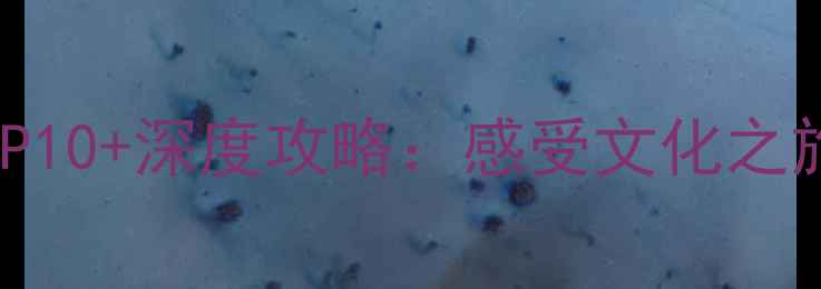 图片 斯里兰卡康提必去景点TOP10+深度攻略：感受文化之旅与自然奇观的完美融合1