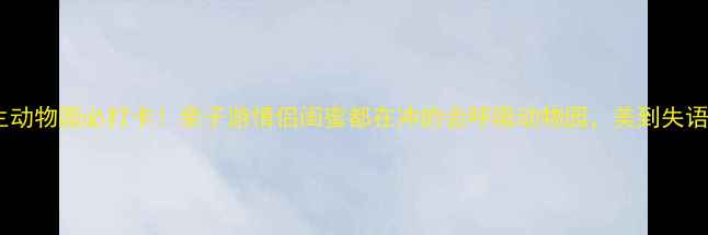 图片 新疆野生动物园必打卡！亲子游情侣闺蜜都在冲的会呼吸动物园，美到失语！🐾🌄2