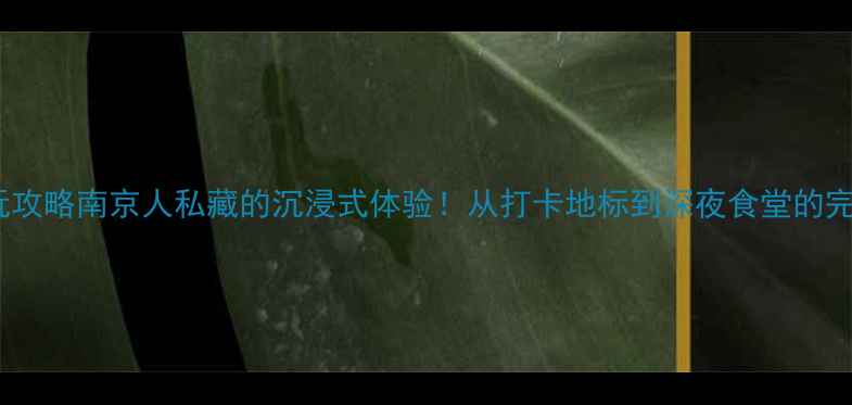 图片 新街口必玩攻略南京人私藏的沉浸式体验！从打卡地标到深夜食堂的完整指南🌆1