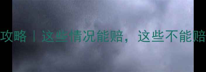 旅游责任险赔付全攻略这些情况能赔这些不能赔附理赔避坑指南