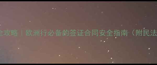 旅行法律全攻略欧洲行必备的签证合同安全指南附民法典条款