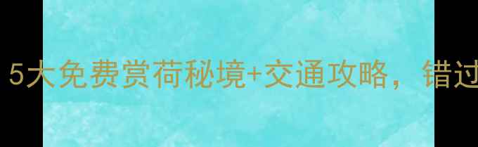 图片 无锡必打卡！5大免费赏荷秘境+交通攻略，错过再等一年🌸2