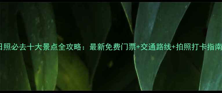 图片 日照必去十大景点全攻略：最新免费门票+交通路线+拍照打卡指南1