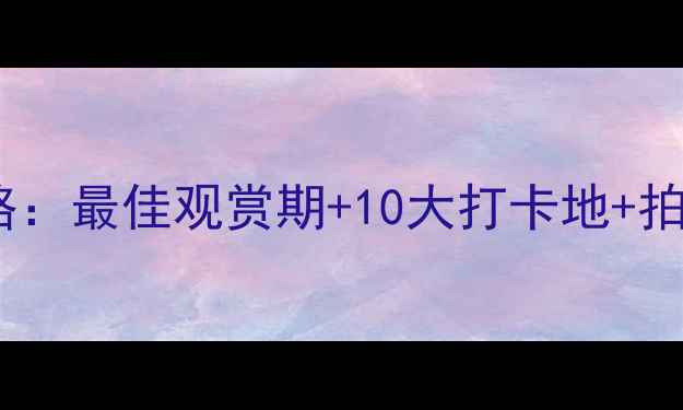 图片 普罗旺斯薰衣草全攻略：最佳观赏期+10大打卡地+拍照技巧+交通住宿指南