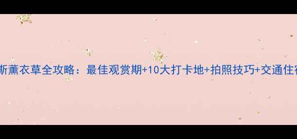 普罗旺斯薰衣草全攻略最佳观赏期10大打卡地拍照技巧交通住宿指南