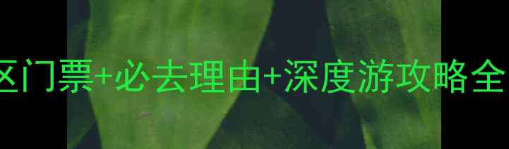 图片 最新大英卓筒井景区门票+必去理由+深度游攻略全！附优惠购票通道1