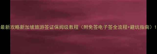 图片 最新攻略新加坡旅游签证保姆级教程（附免签电子签全流程+避坑指南）1